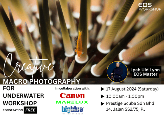 (Kuala Lumpur) Creative Macro Photography for Underwater Workshop