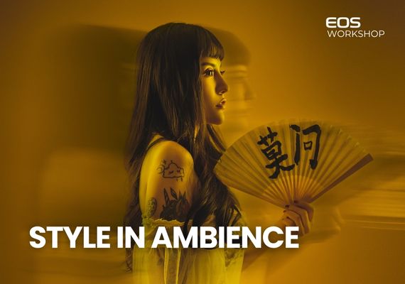 Style in Ambience - The art of Fashon and Light