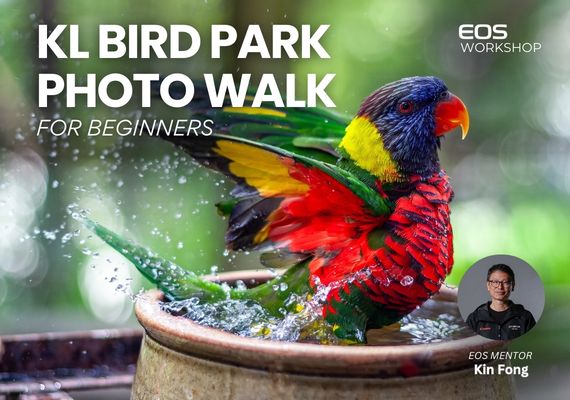 KL Bird Park Photo Walk for Beginners