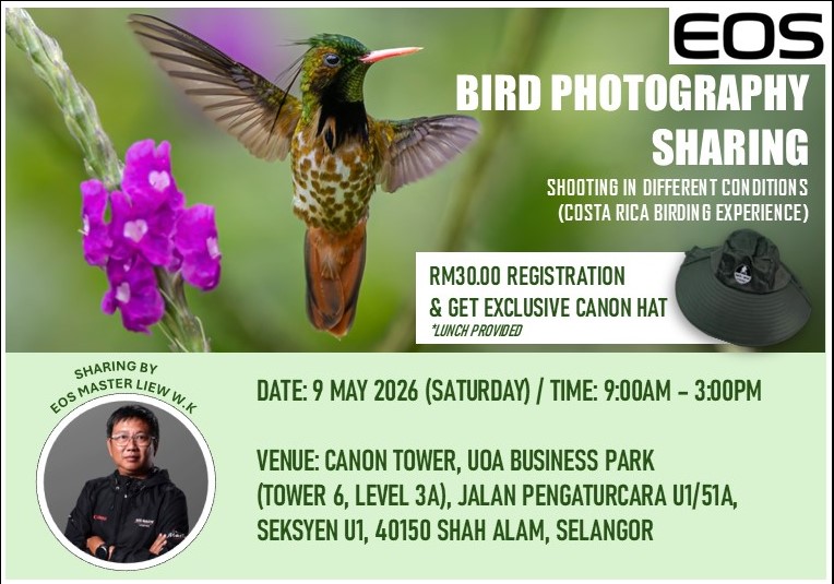 Bird Photography Sharing By Liew W.K (K.L)